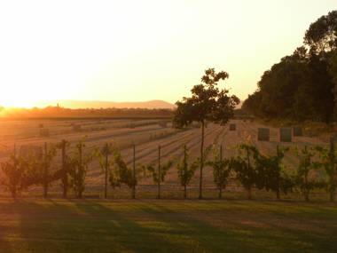 Cortona Resort-Le Terre Dei Cavalieri