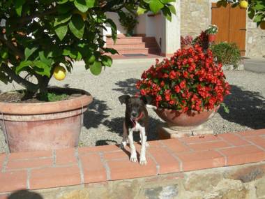 Agriturismo Fattoria Podere Peciano