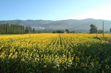 Holiday Home Il Moro Novo