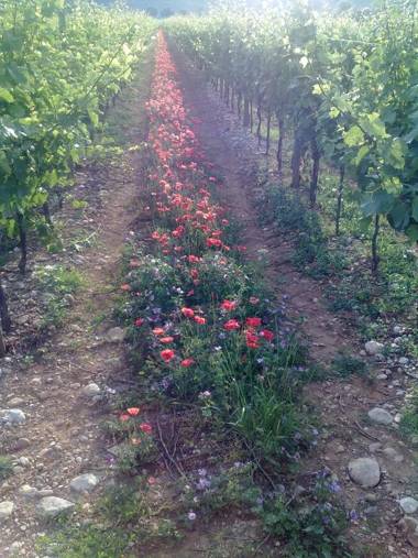 AGRITURISMO Casa Riz