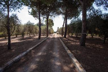 Bilocale nelle campagne Pugliesi con piscina m543