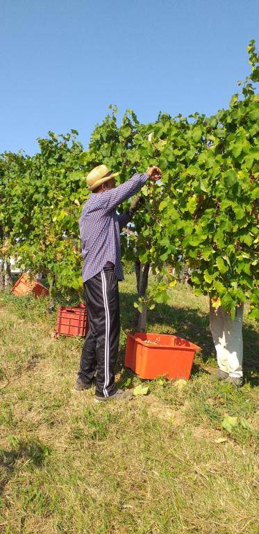 Agriturismo Le Spezie