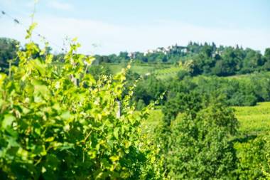 Relais La Dolce Vite