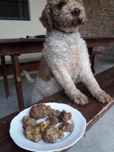 Antica Grancia Benedettina