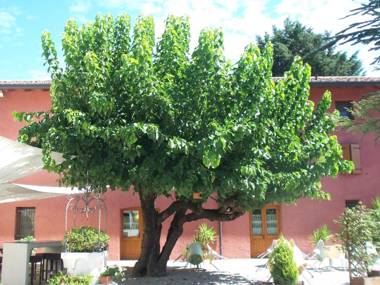 Agriturismo Al Casale