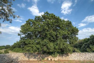 Trullo Pagliaro by Typney