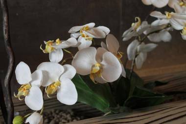 Hotel Residence Aurora