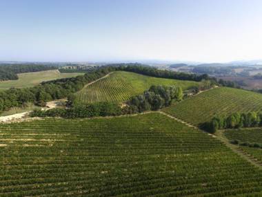 Agriturismo San Gregorio