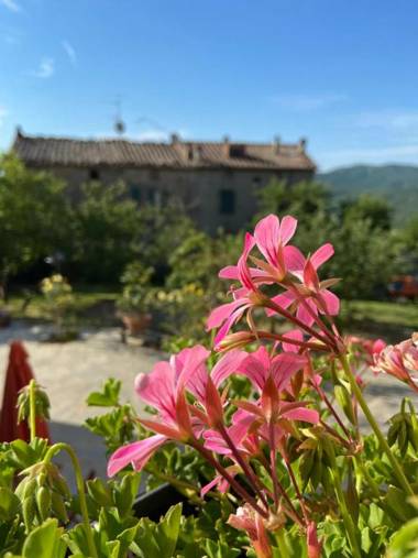 Agriturismo La Via Dell'Oliviera