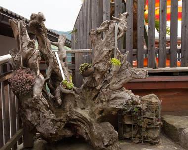 Ausservogelweiderhof