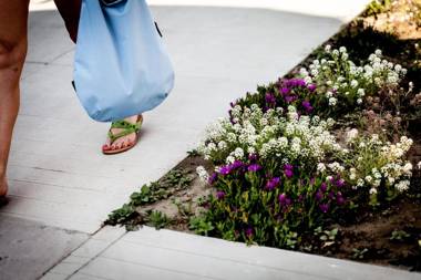 Kristalex Pet Family Hotel