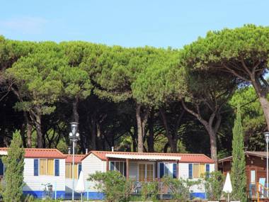 Nice chalet in a pine forest near the Adriatic sea