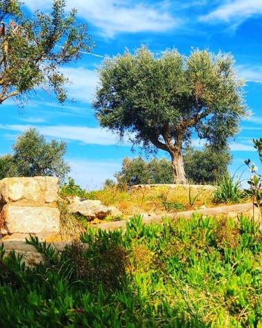 Masseria Casina Bellanova
