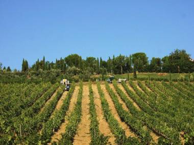 Agriturismo Isola Verde