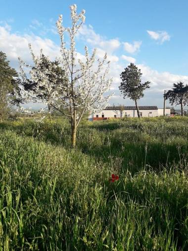 Masseria Agriturismo Moschella