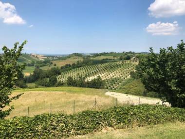 DT CASCINA GABANNONE