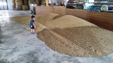 Agriturismo La Ginestra