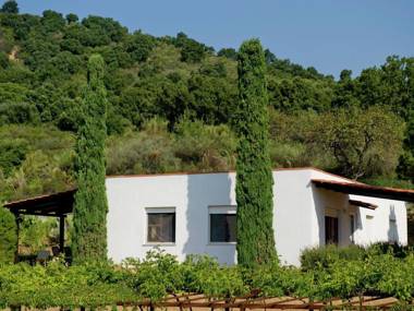 Charming Holiday Home in Palinuro with Private Swimming Pool