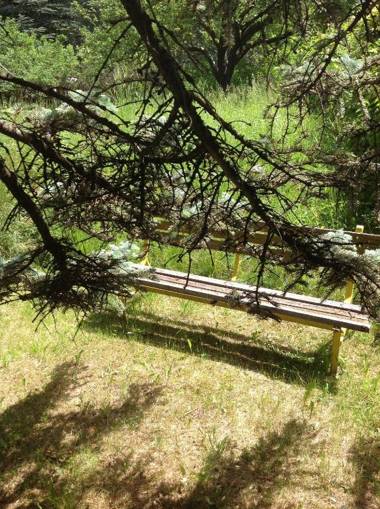 Maso nel cuore del cermis e Dolomiti