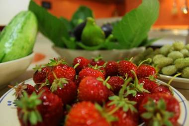 Dimora "La Casetta di Ciccio"