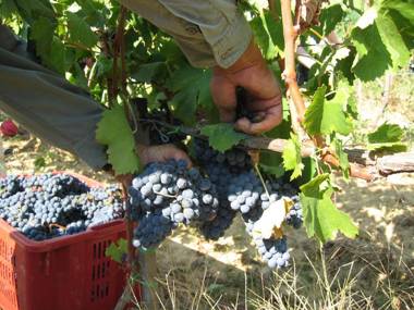 Agriturismo Santo Stefano