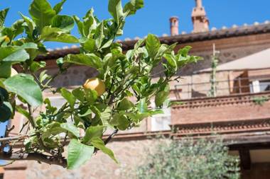 Fattoria Pian Di Rocca