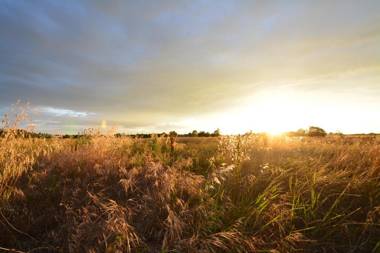 Agriturismo Dolce Verde