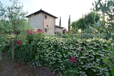 Agriturismo Dolce Verde