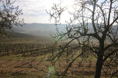 Agriturismo Poggio Bonelli