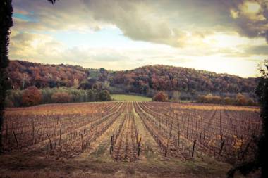 Agriturismo Poggio Bonelli
