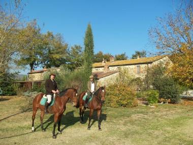 Centro Ippico Della Berardenga