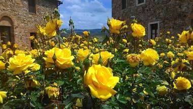 Relais Riserva di Fizzano