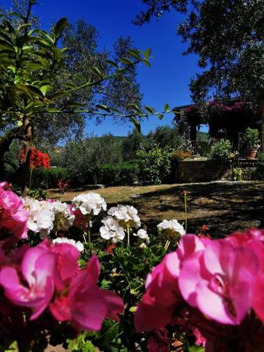 Beautiful house with sea view and amazing garden