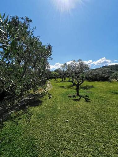 Beautiful house with sea view and amazing garden