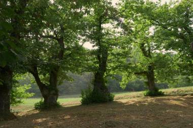 La Piana Dei Castagni