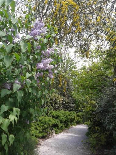 Campastrello Sport Hotel Residence