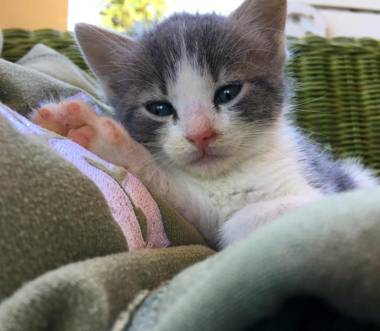 Agriturismo Quattro Pini