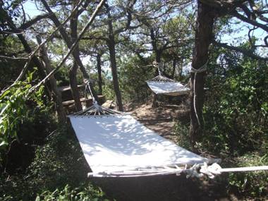 Vacanze Toscane In The Country