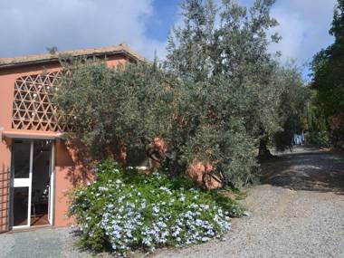 Peaceful Holiday Home in Castagneto Carducci with Garden