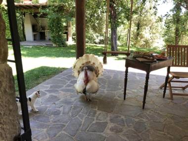 Beautiful Stone Country Villa