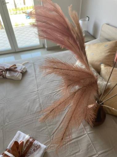 Hyele Accommodation Experience