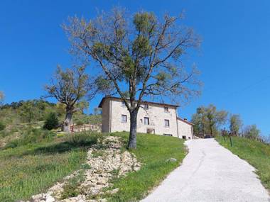 Vintage Holiday Home in Carpegna with Terrace