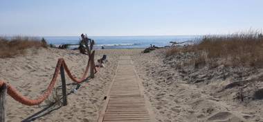 Lighthouse Gabbiano Azzurro