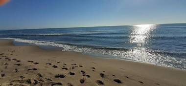 Lighthouse Gabbiano Azzurro