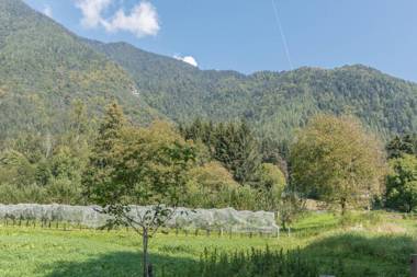 Appartamento Adamello 10