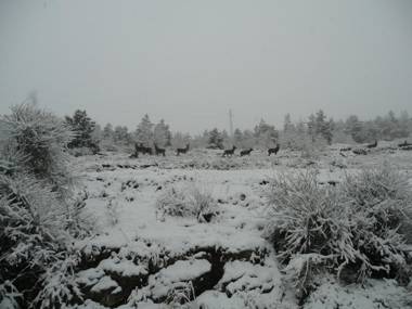 Casa Vacanza Abruzzo 06804dueAFFzerozerozerodue