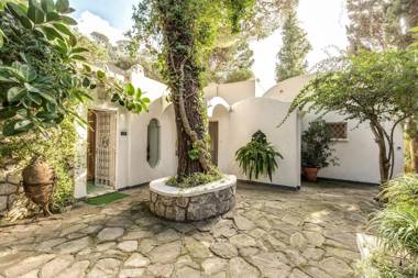 Green Coral by Gocce