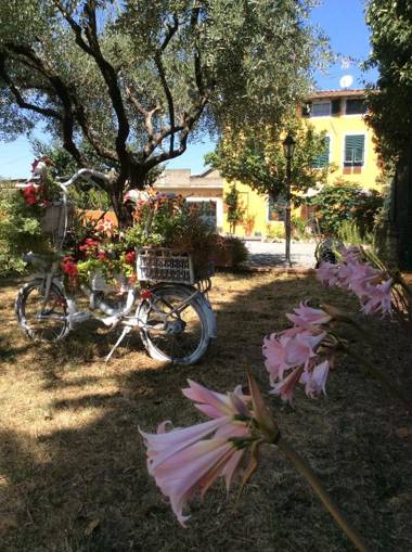 Bed & Breakfast Lucca Fora