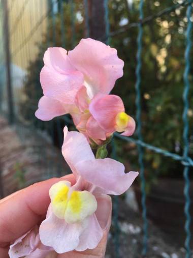 Bed & Breakfast Lucca Fora