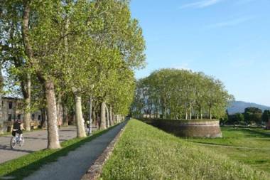 Farmhouse Pool 13 px